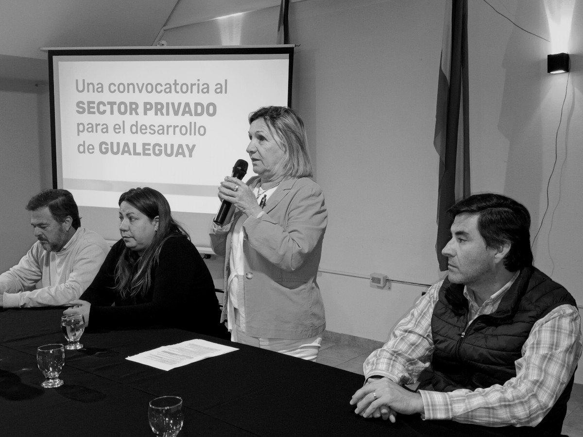 De qué trata el proyecto de desarrollo de Dorita Bogdan