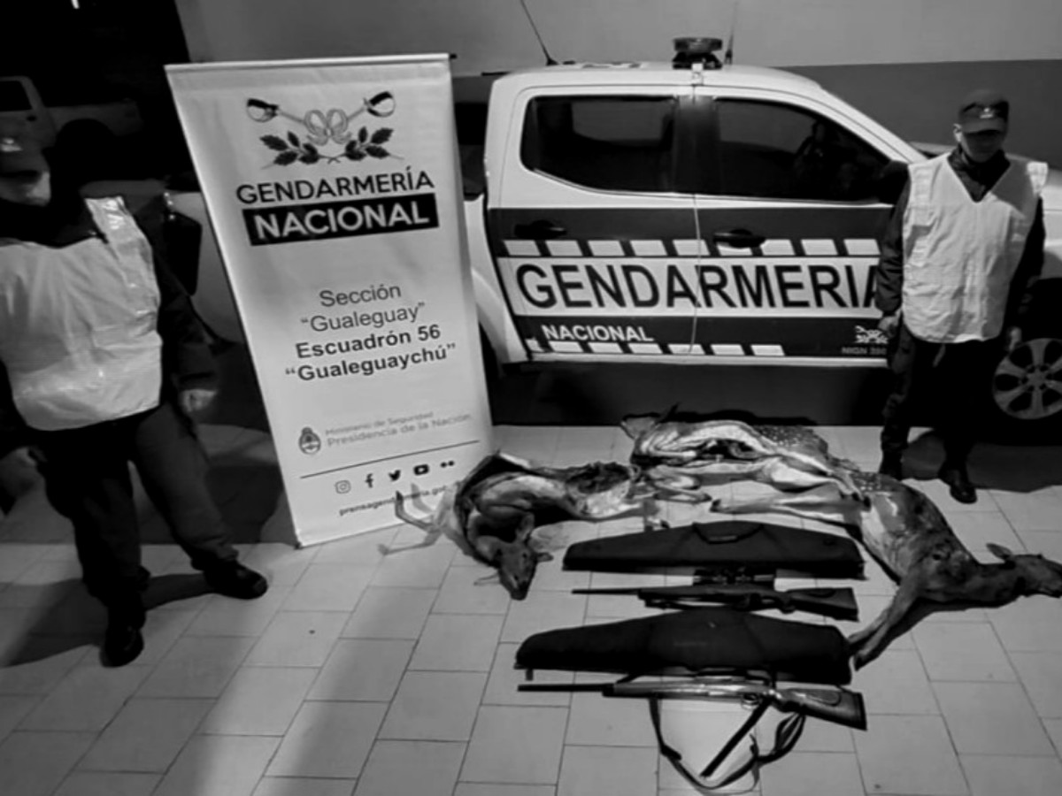 Gendarmería secuestró armas y carne a cazadores sin razón