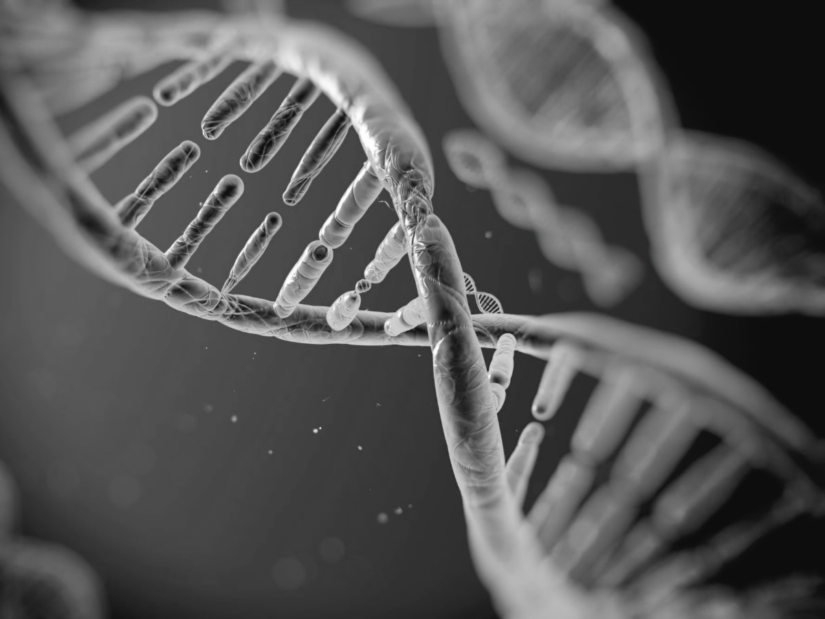 Estudios genómicos: los secretos de nuestro ADN