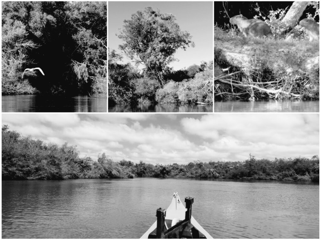 Cuenca Gualeguay Norte