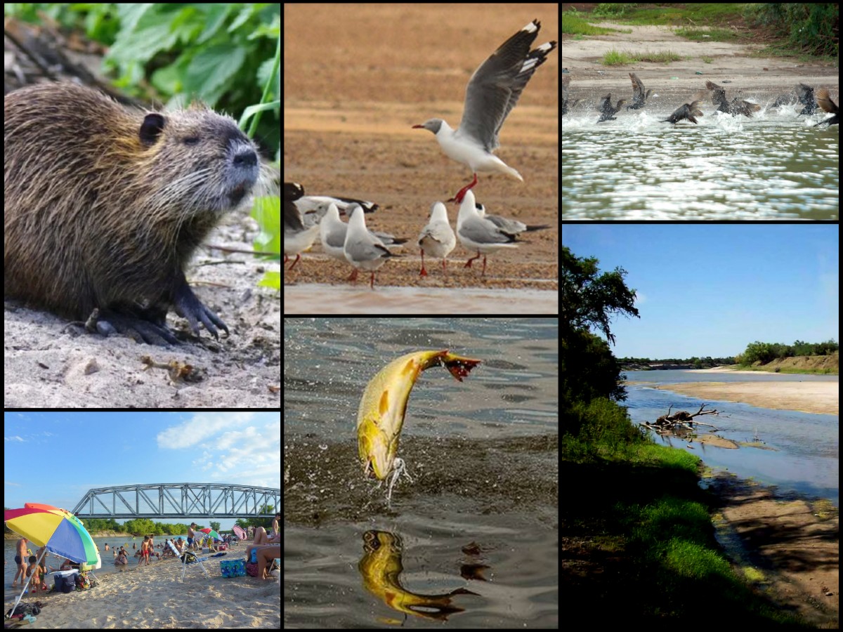 Mitos y verdades de un río condenado