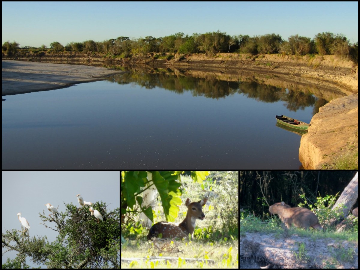 Un patrimonio natural con potencial turístico