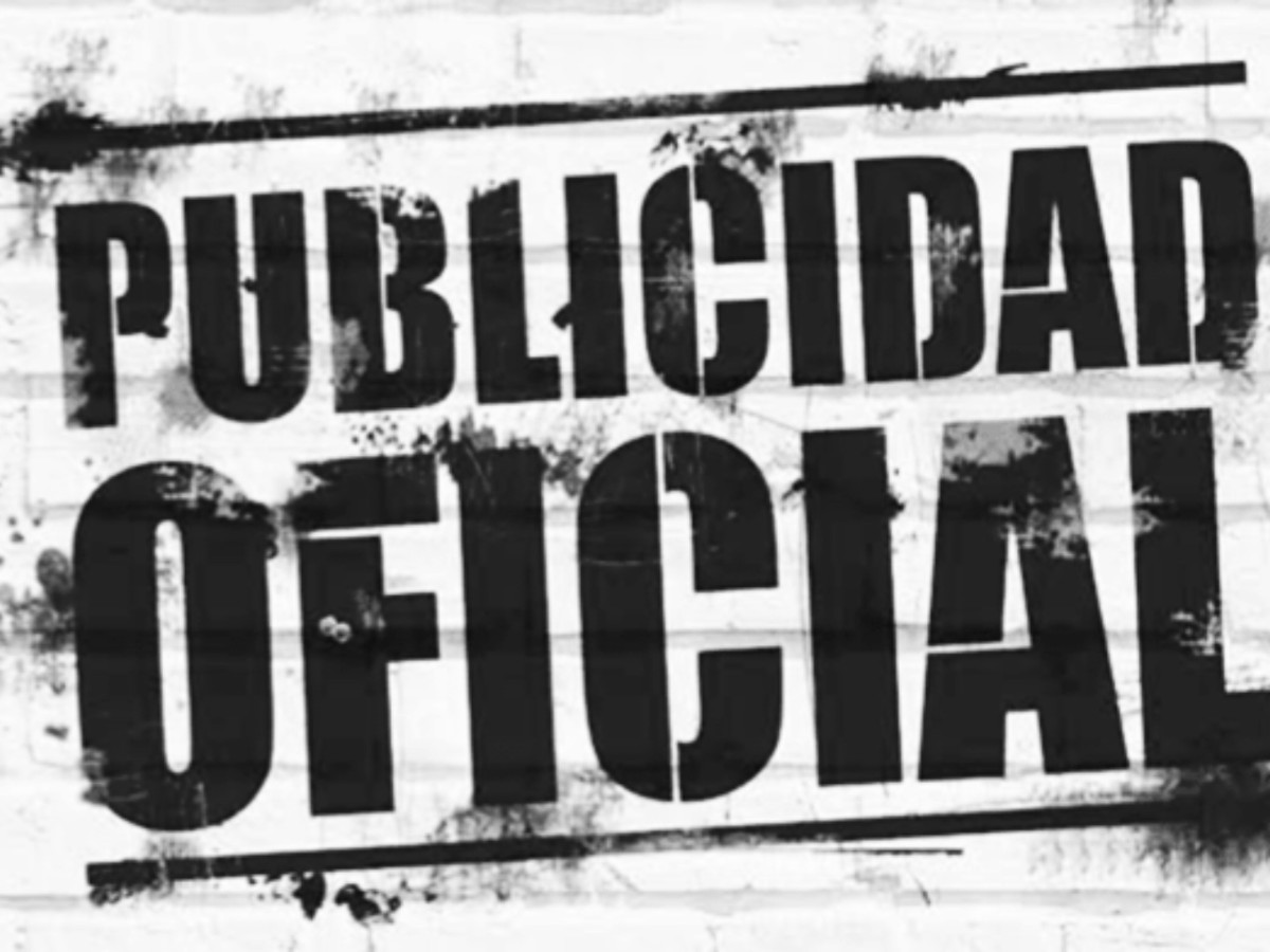 La pauta oficial y los medios en la Argentina