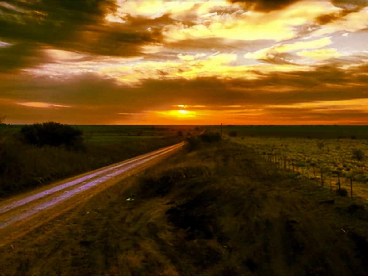 Ejemplar iniciativa vecinal trae solución a sus caminos