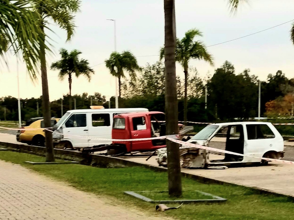 Foto del día