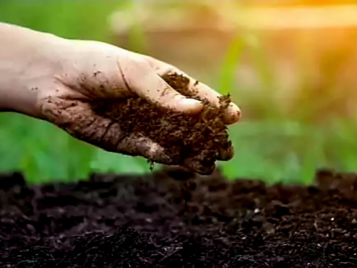 Proponen incentivar la fertilidad del suelo