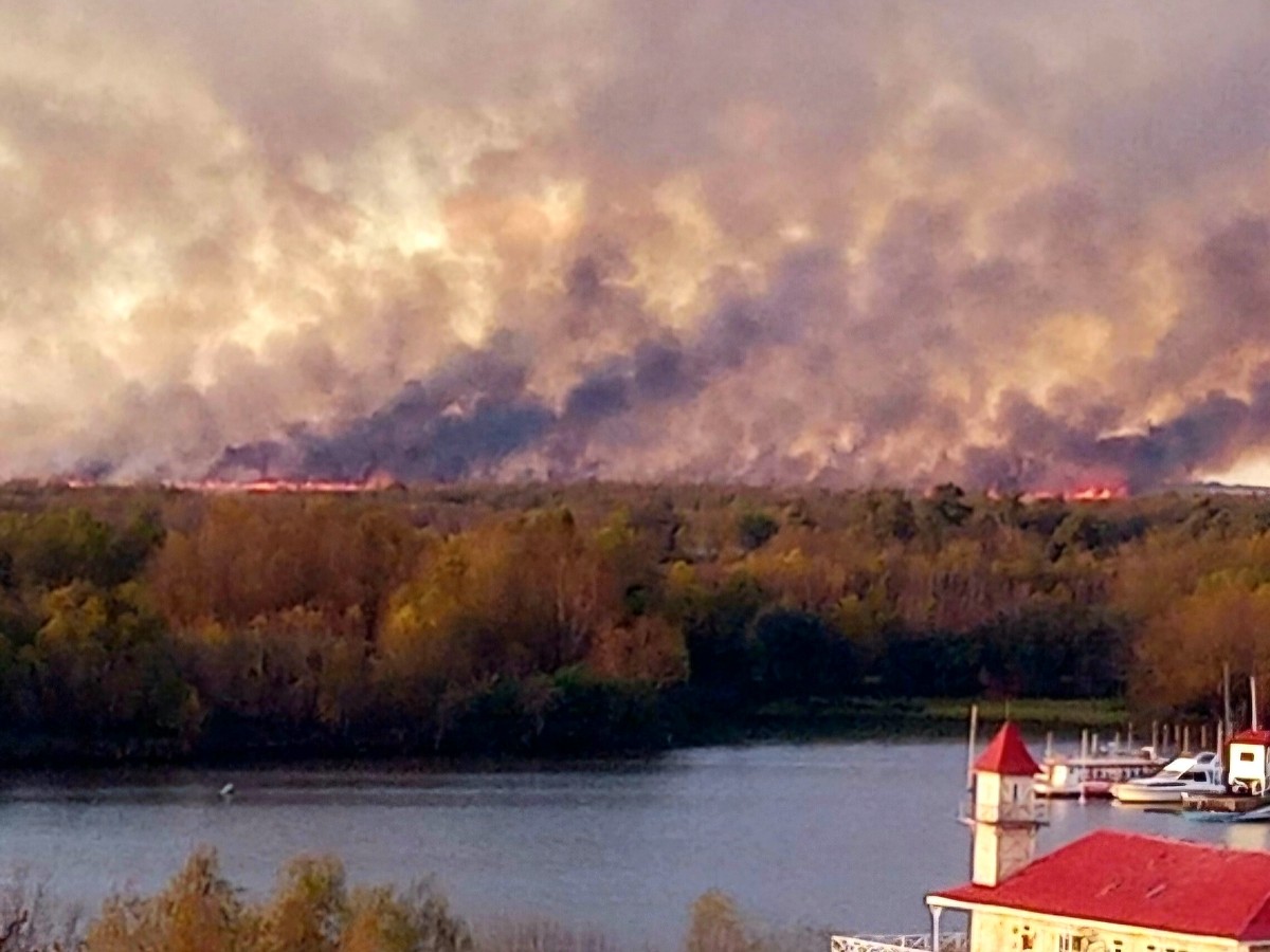 Incendios en las islas de Gualeguay