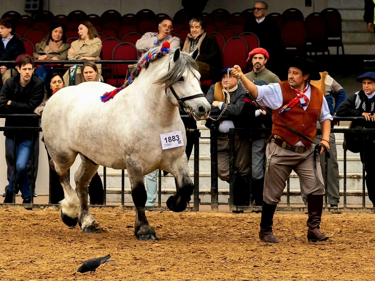 La Sarita en la Expo Rural Palermo 2026