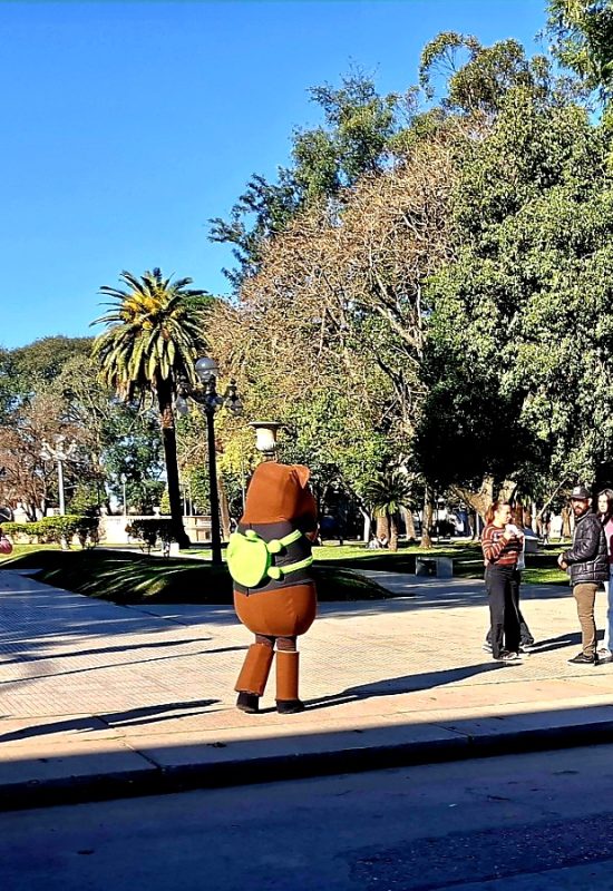 Foto del Día
