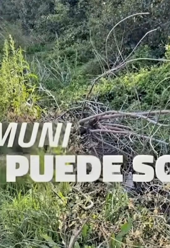 “La Muni no puede sola”